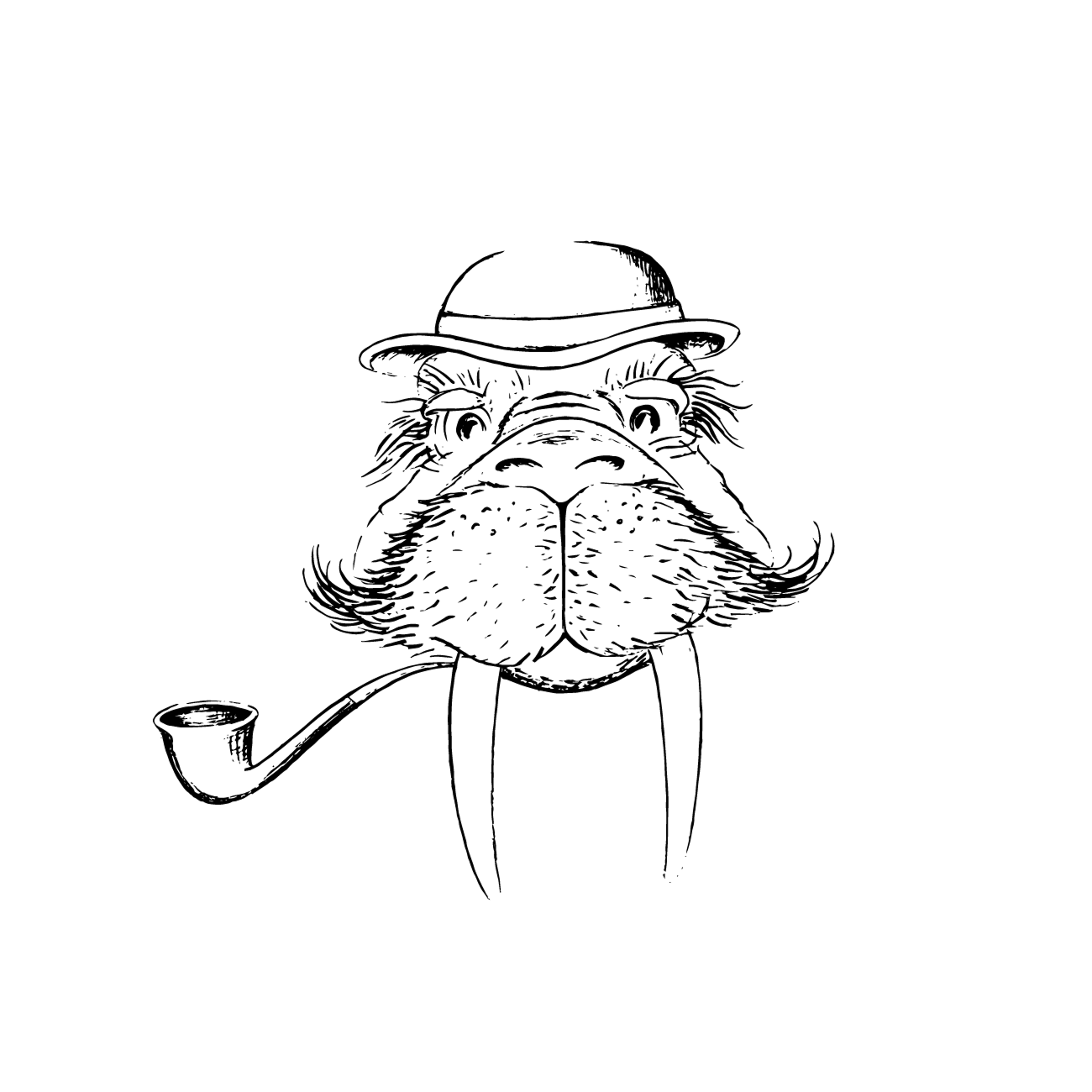 The Walrus in Brighton